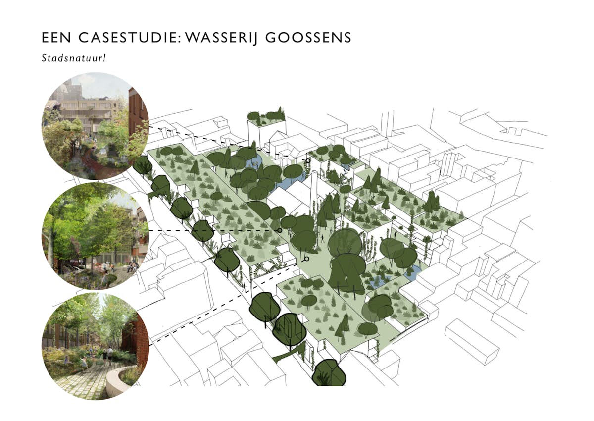 Capture décran 2020 07 01 à 23 24 52