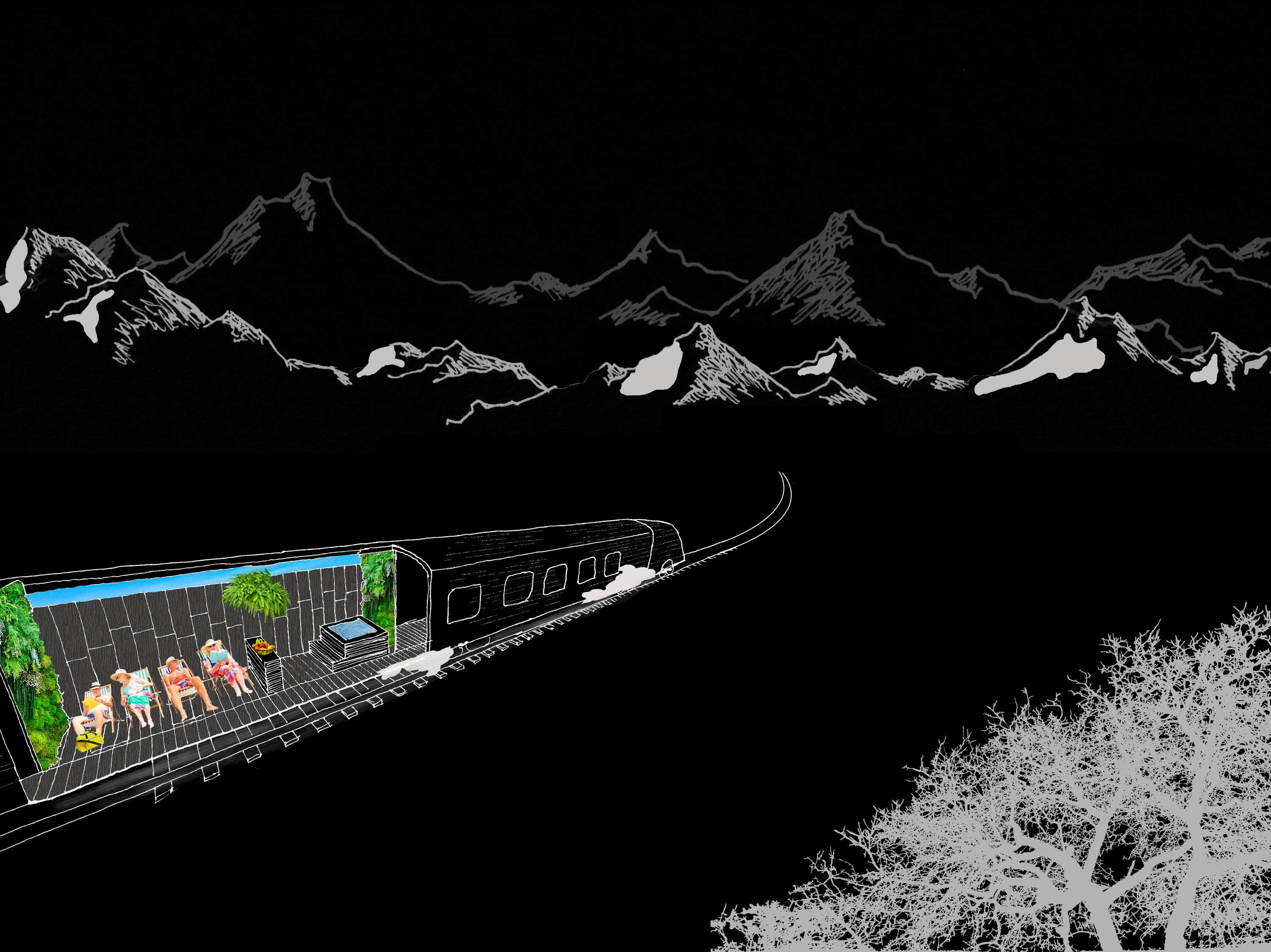 WEB Transperceneige CATELLA 1